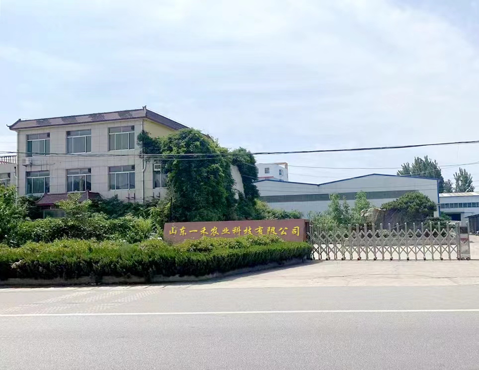 Company Image 1