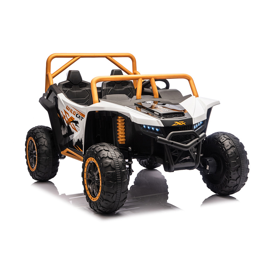 2 4G Kids Electric off-Road UTV Ride on Car 24V Remote Control