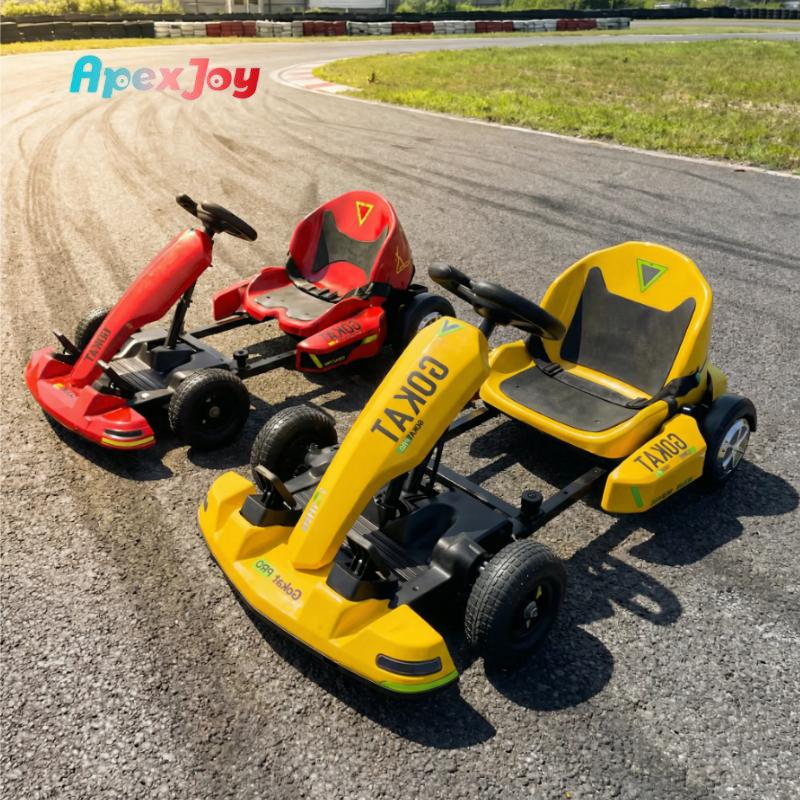 ApexJoy NOVA Twist 500W Dual Motor Kids Electric Go Kart 20km/h Extendable Drift Racing 36V Lithium Amusement Ride on Car Sales