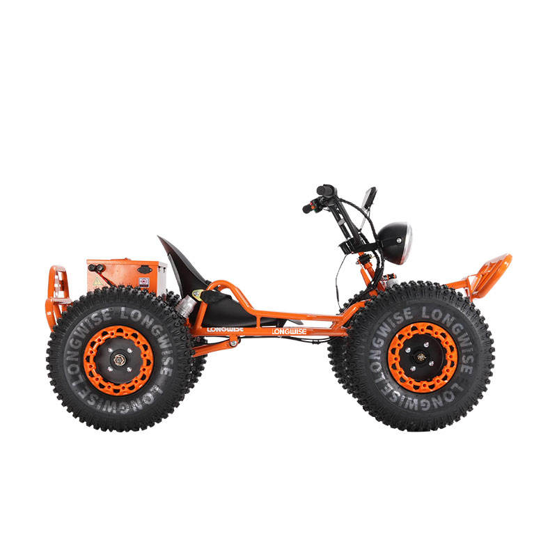 LONGWISE 48V 3000W Electric Off-Road Go Kart-Hydraulic Disc Brakes LED Headlights 8" Wheels Chain Drive | Adult Racing Kart