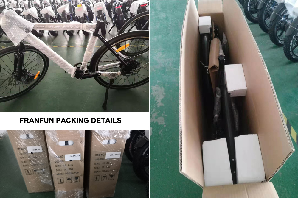 Electric Bike Packing