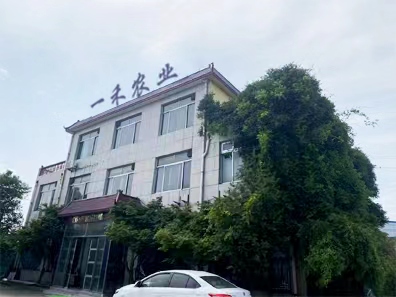 Company Image 2
