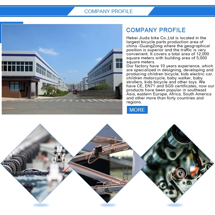 Company Image 1