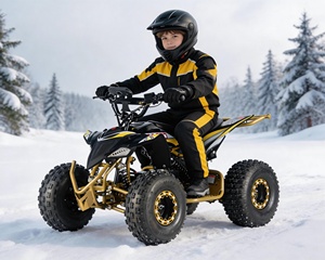 Hot Selling Electric CE ATV Kids 4-Wheel Off-Road Vehicle with Automatic Shaft Drive Brushless DC Motor 500W