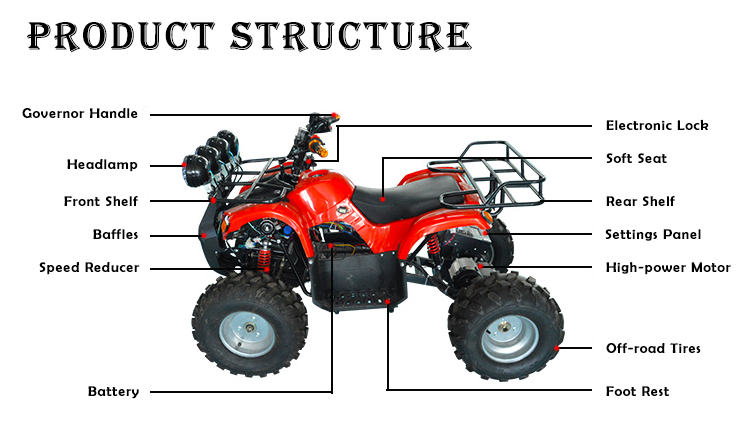 Beach Buggy Details 3