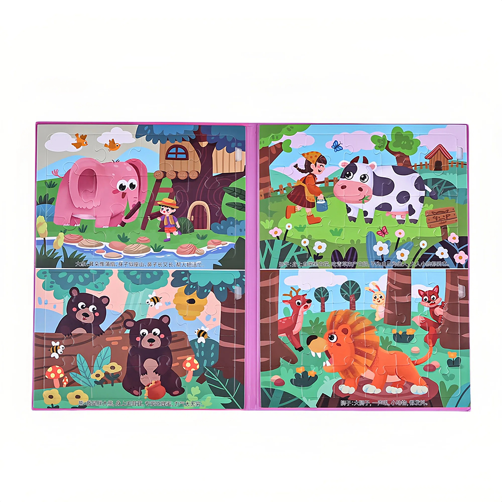 Magnetic Puzzle Option C