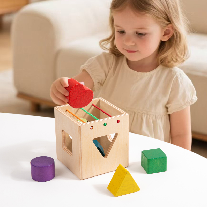 Wooden Shape Cognitive Toys Kids Montessori Toys Preschool Early Learning Educational Toys for Baby Toddlers