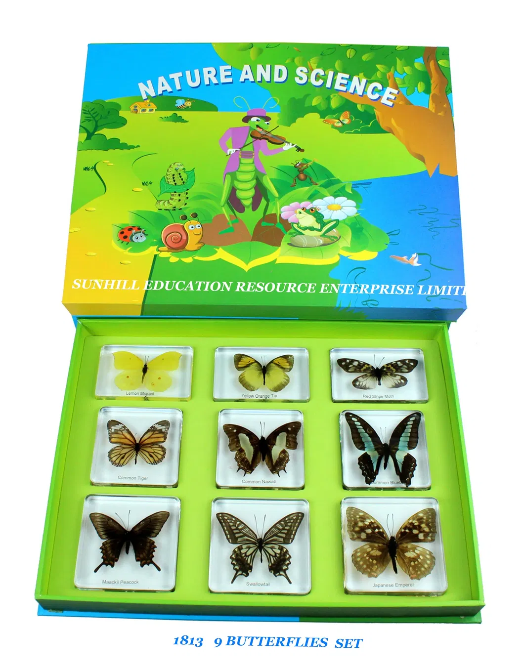 Children Toy, Nursery School Educational Science Learning Toy, Kids Classroom Education Teaching Specimen - Animal Kingdom