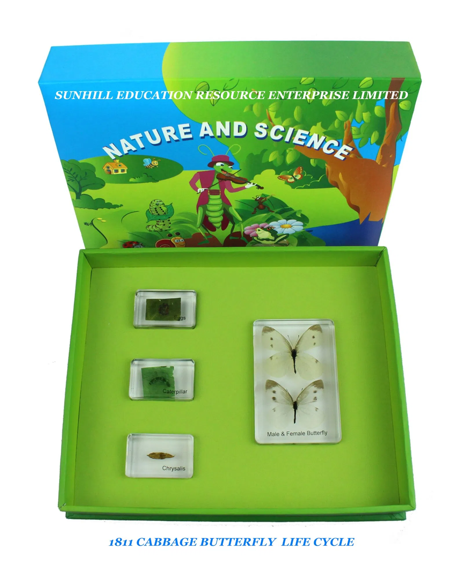 Children Education Toynursery School Educationa Science Learning Toy, Kids Science Classroom Teaching Specimen for Kindergarten and Preschool