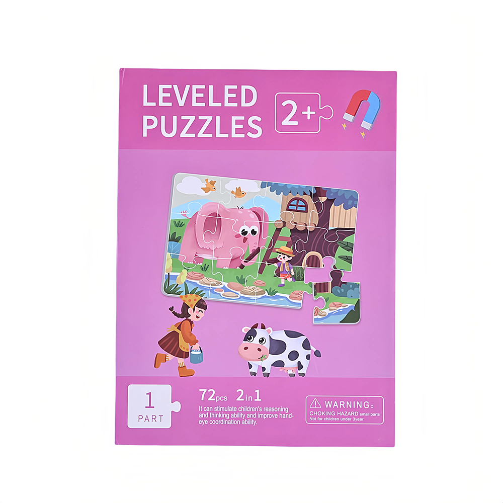 Magnetic Puzzle Option B