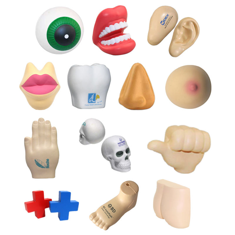 DICDE Human Organ Stress Ball Heart Brain Kidney Shape Soft PU Toy for Science Education Medical Promotion