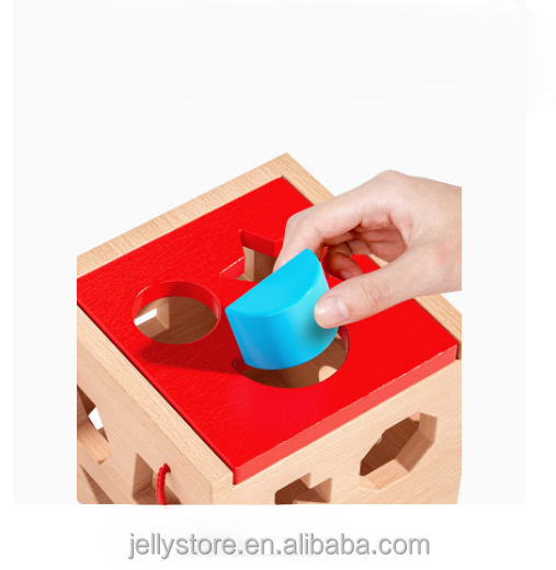 Educational Toy 5