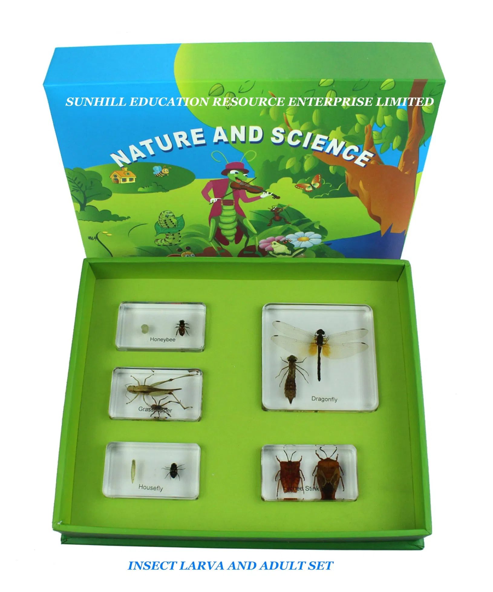 Children Toy, Nursery School Educational Science Learning Toy, Kids Classroom Teaching Specimen for Kindergarten and Preschool--Butterfly Set