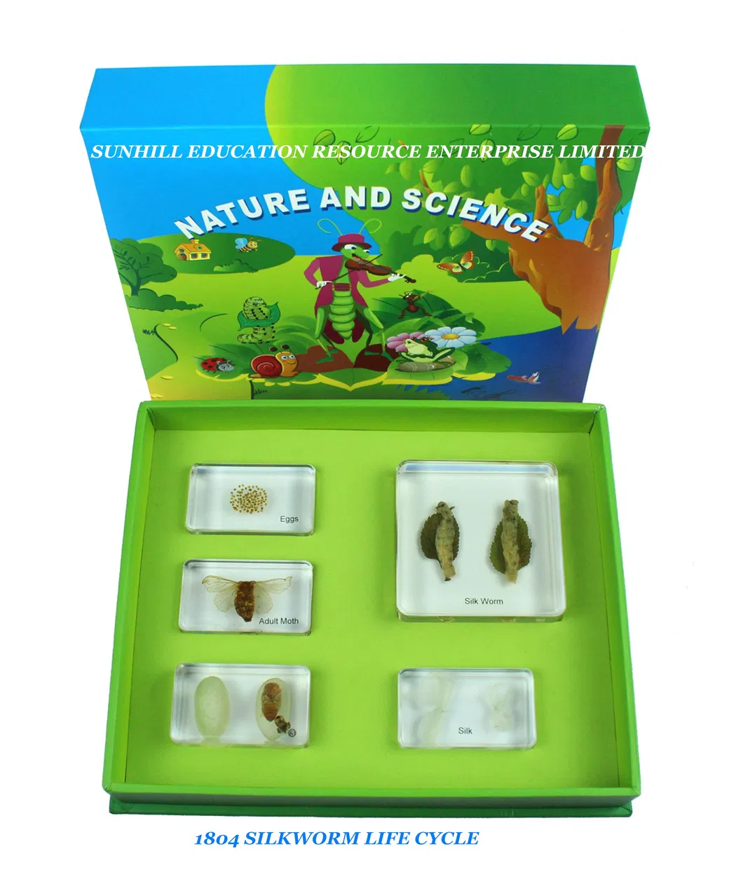 Kids Science Classroom and Educational Resin and Crystal Teaching Specimen