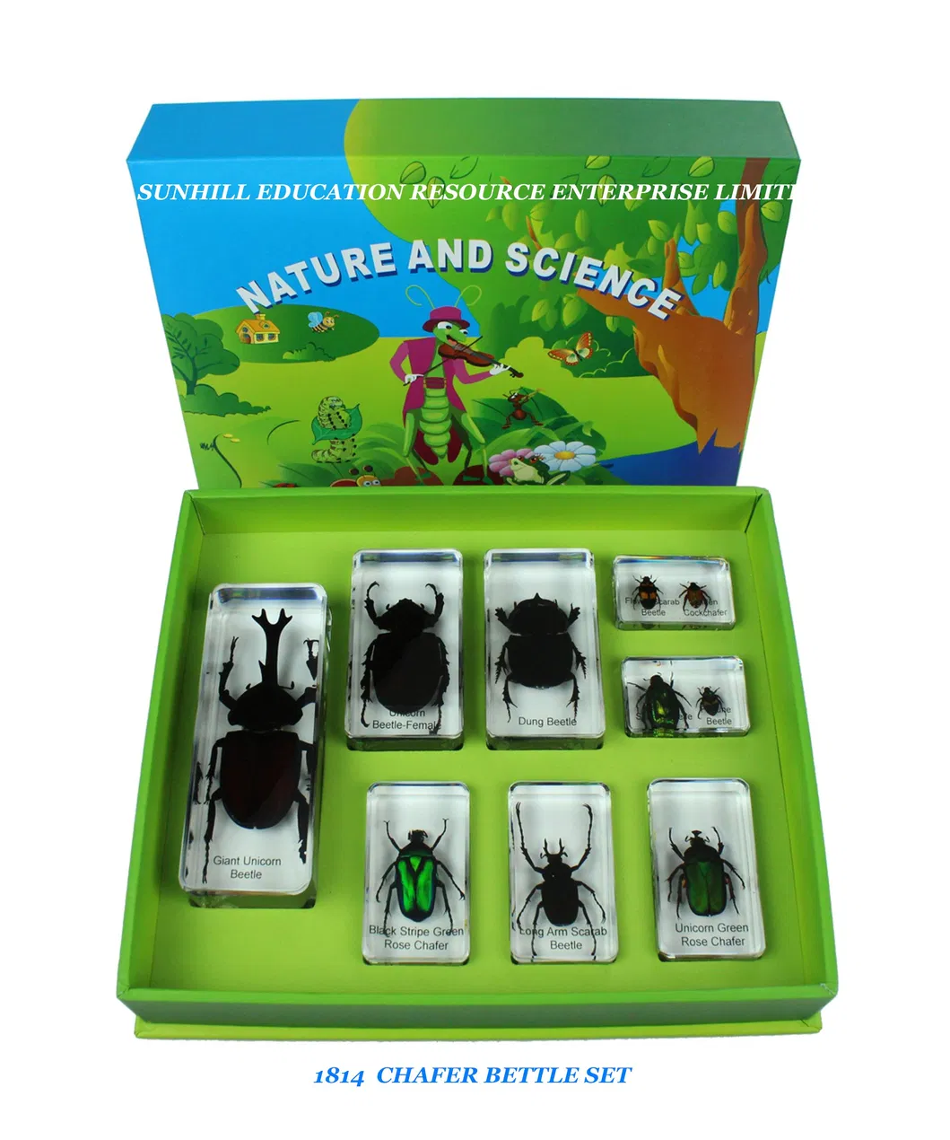 Children Toy, Nursery School Educational Science Learning Toy, Kids Classroom Education Teaching Specimen - Animal Kingdom