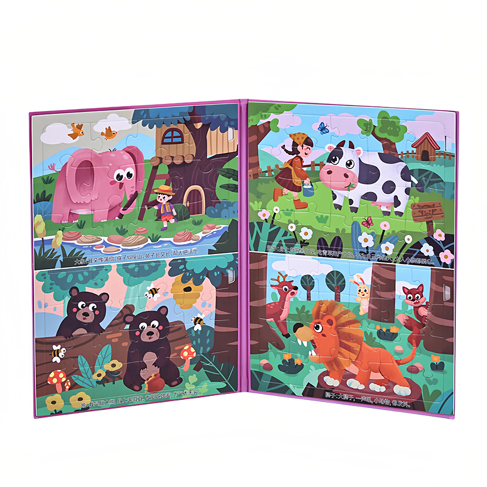 Magnetic Puzzle Option A