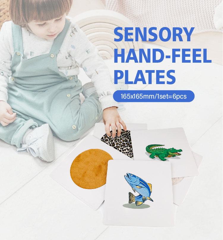 Sensory plate close up - Bear Pattern