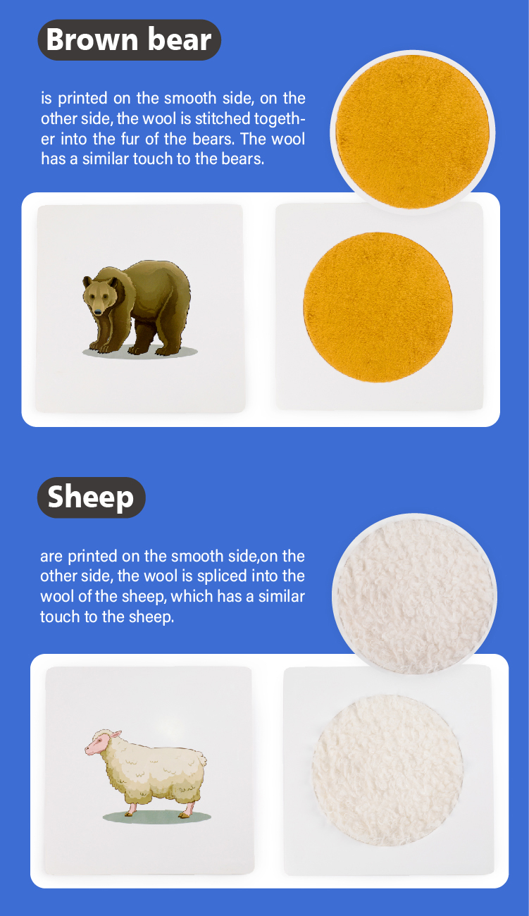 Sensory plate close up - Sheep Pattern