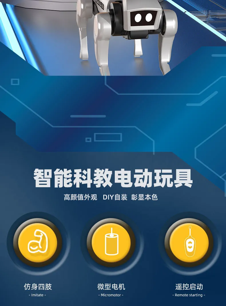 Educational Toy 3