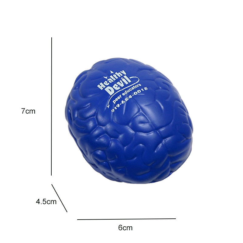 DICDE Human Organ Stress Ball Heart Brain Kidney Shape Soft PU Toy for Science Education Medical Promotion