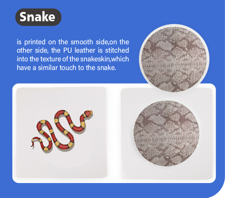 Sensory plate close up - Snake Pattern