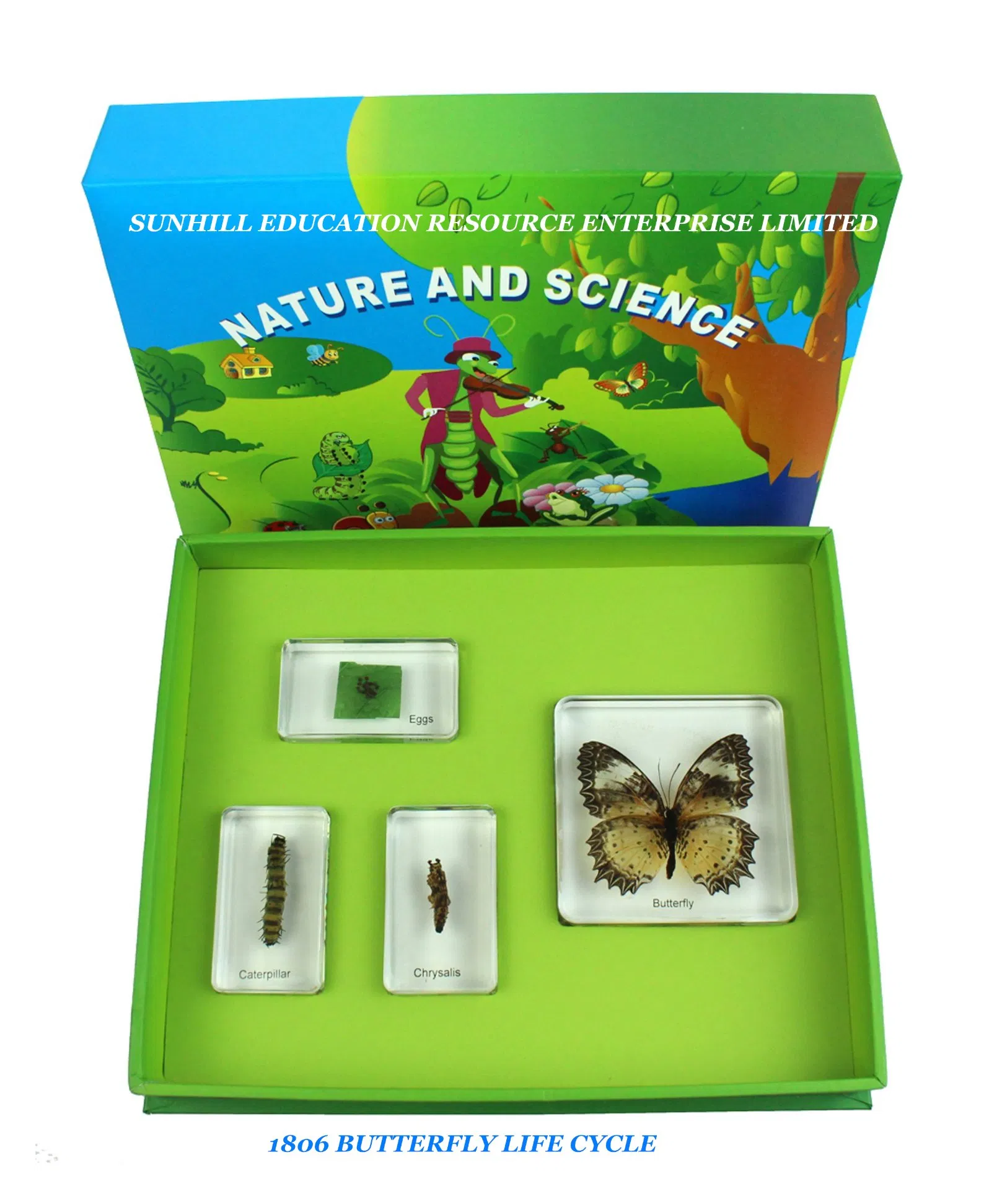 Kids Science Classroom and Educational Resin and Crystal Teaching Specimen for Kindergarten and Preschool, Nursery School, Educationa Science Learning Toy