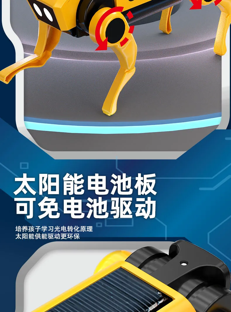 Educational Toy 5