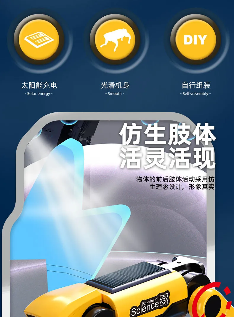 Educational Toy 4