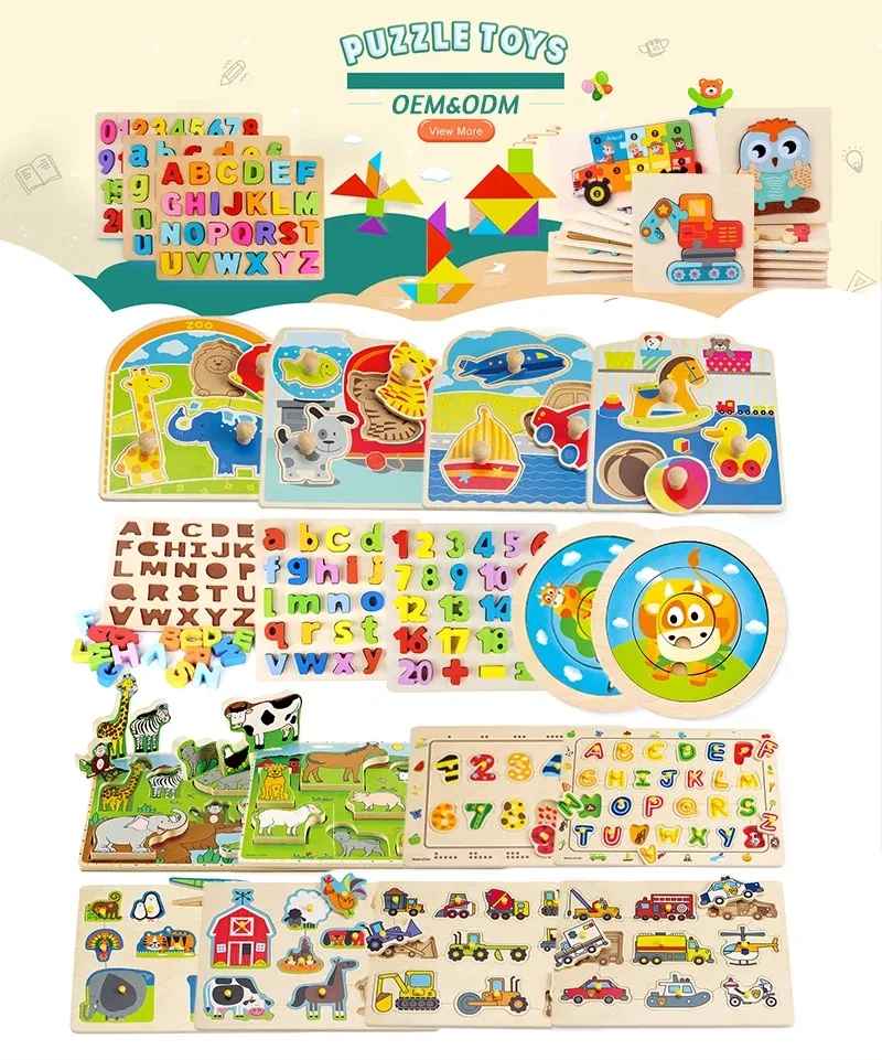 Educational Wooden Toy Shop Car