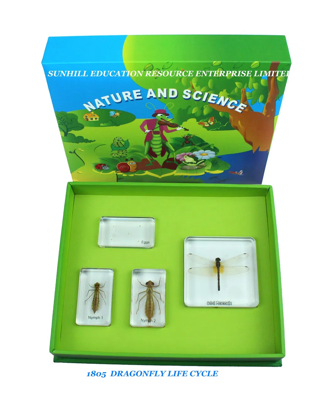 Hot Sales Educational Science Learning Toy, Kids Science Classroom and Educational Resin and Crystal Teaching Specimen for Kindergarten and Preschool