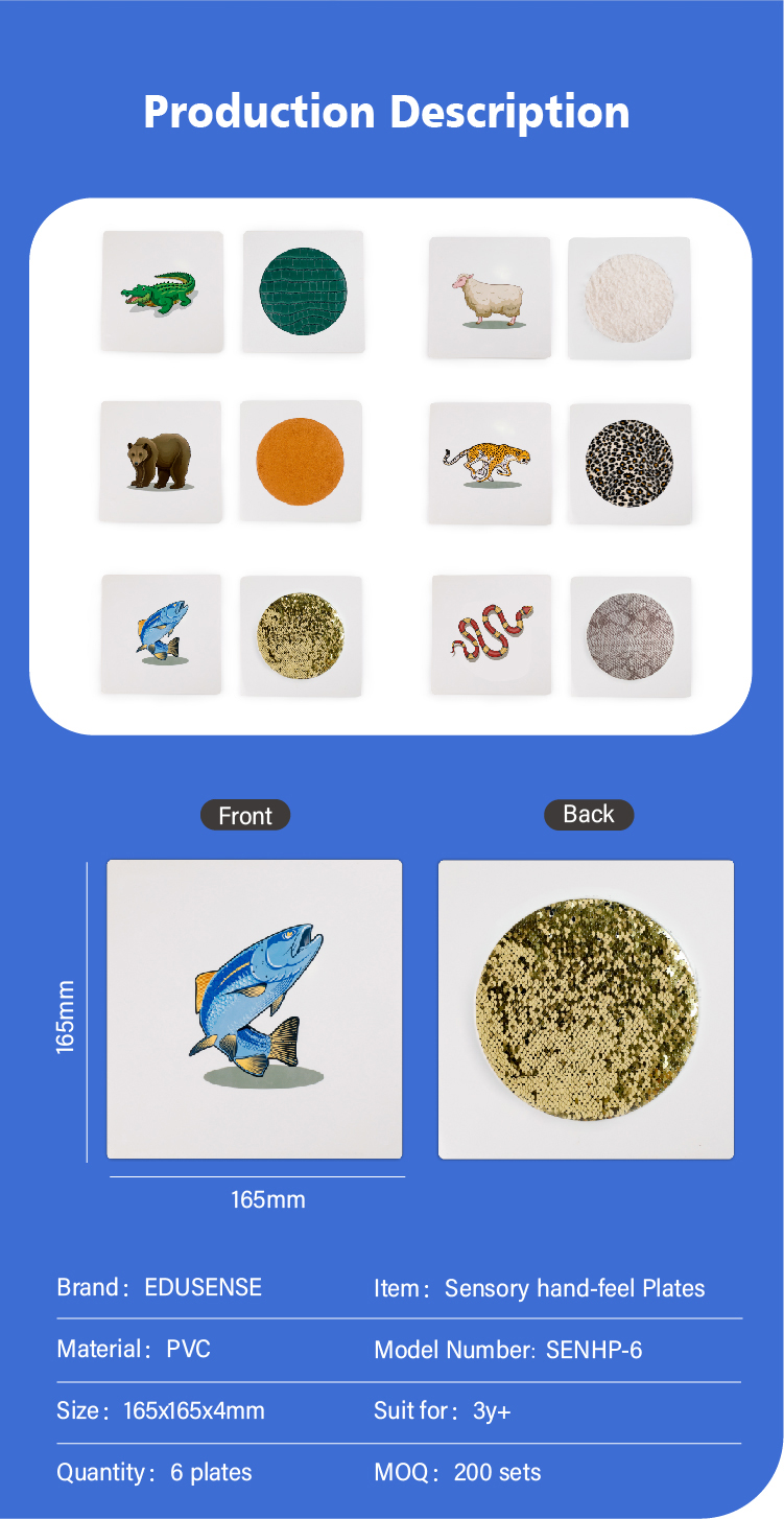 Sensory plate close up - Fish Pattern