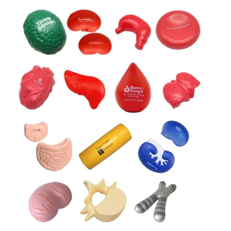 DICDE Human Organ Stress Ball Heart Brain Kidney Shape Soft PU Toy for Science Education Medical Promotion
