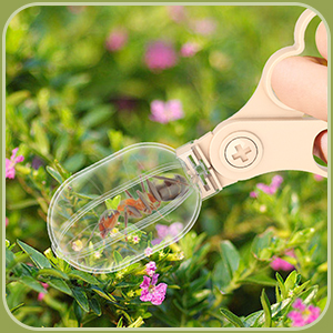 Insect Clip