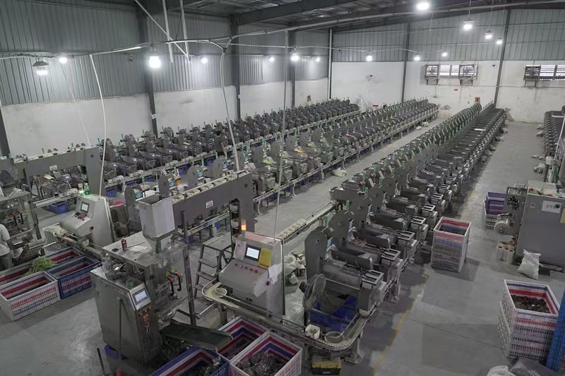 Factory Profile