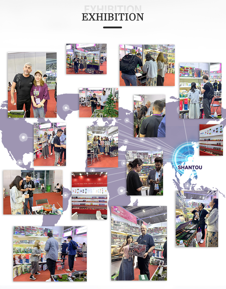 Exhibition
