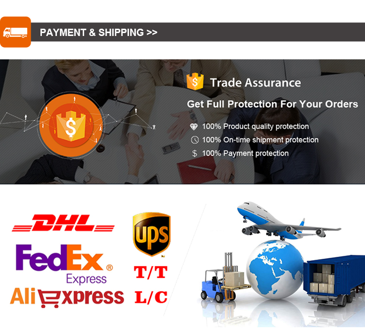 Shipping and Payment