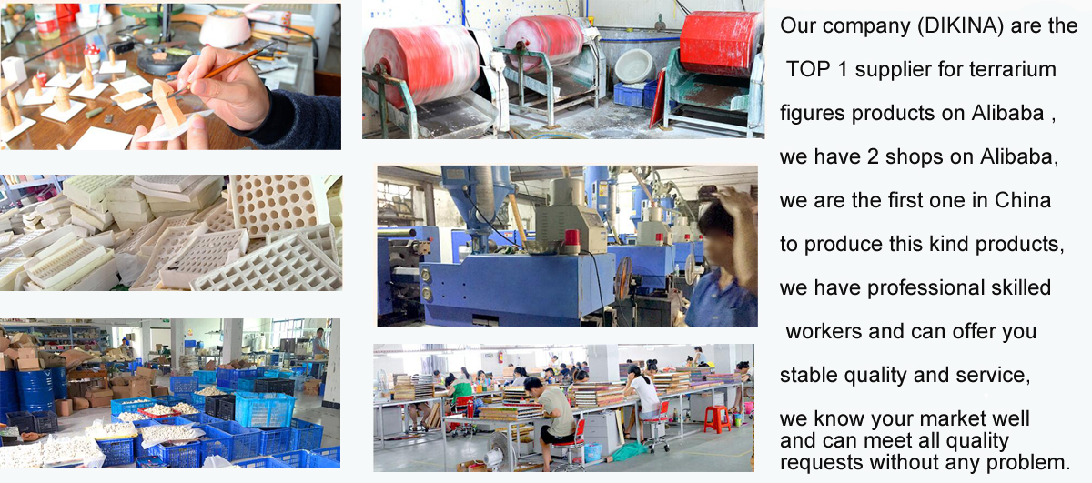 Company Image 2