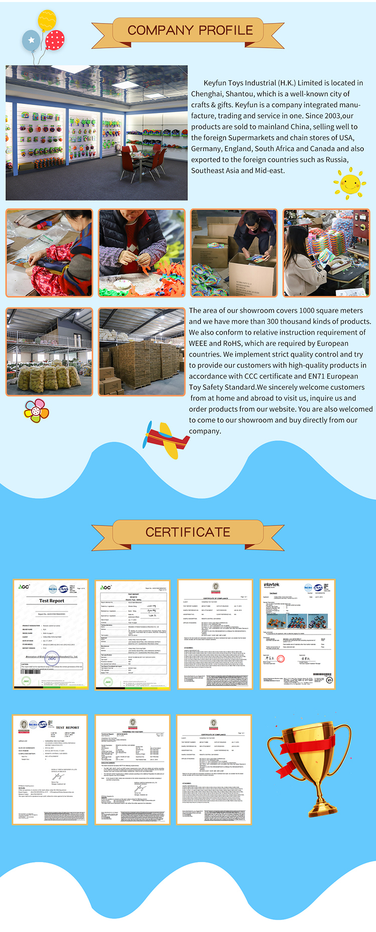 Company Overview