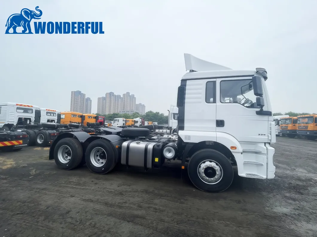 Tractor Truck View 6