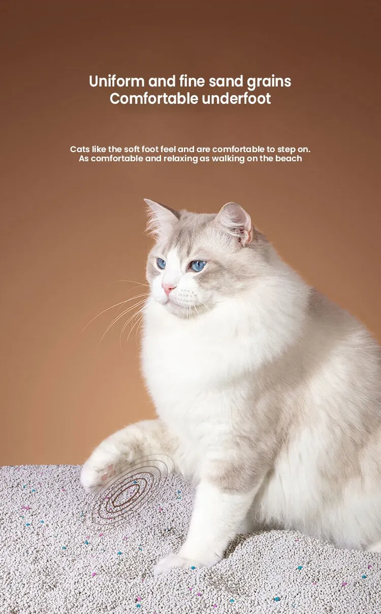 How to use cat litter