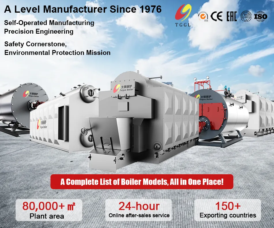 Horizontal Single Drum Boiler