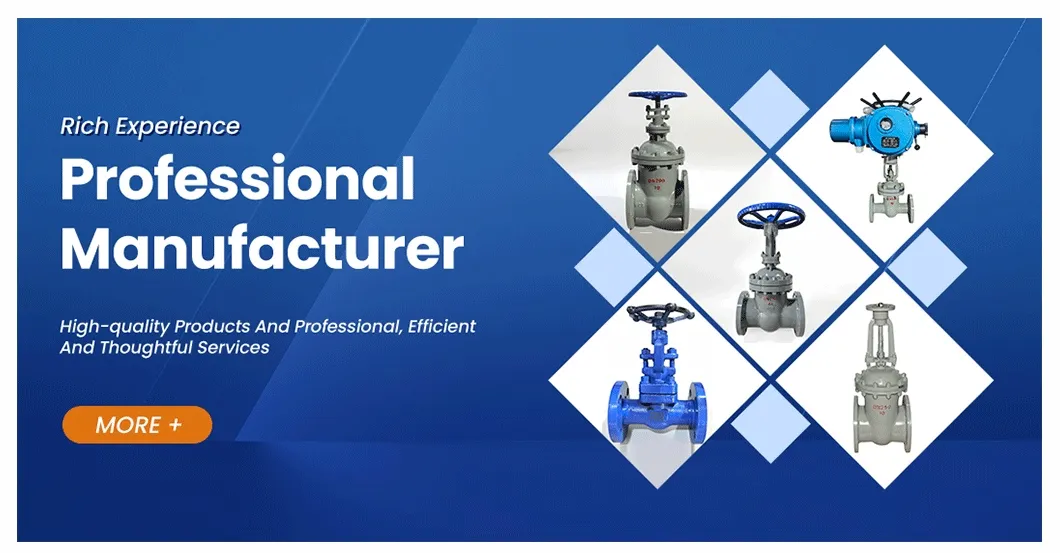Cast Steel Gate Valve