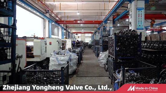 Company Video Preview