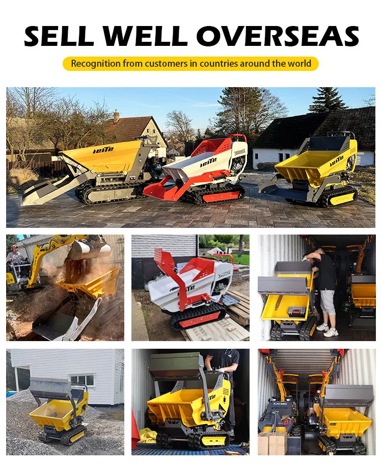 Crawler Dumper Details