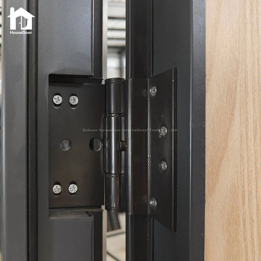 Security Steel/Metal Door - Fire Rated &amp; Insulated Iron Armored Main Entry Door for Real Estate, Custom Bulk Supply, High Security Dual Lock