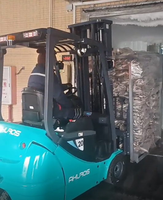 Anti-Corrosive High-Performance Rust-Proof Electric Forklift Truck for Indoor Industrial Handling