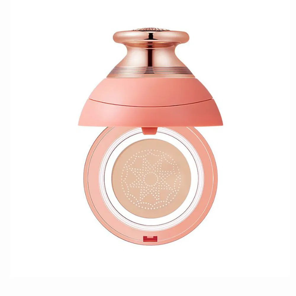 OEM Customized Mushroom Head Cushion Moisturizing Bb Cream Concealer Light Nude Makeup Brightening Liquid Foundation