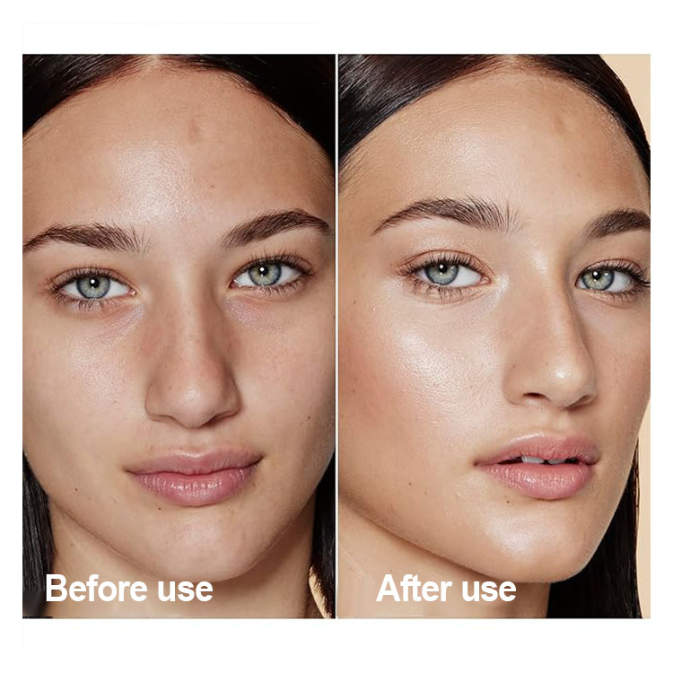 Wholesale Women's Full Coverage Liquid Foundation Waterproof Sunscreen Whitening Moisturizer Concealer in Dark Powder Style