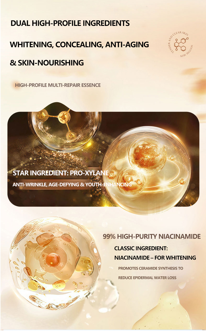 Waterproof Full Coverage BB Cream SPF Foundation Makeup Base Natural Coverage Private Label Bulk