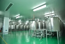 Lightweight Color Correction Foundation Delivery Process